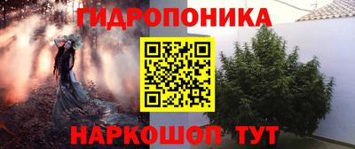 мдпв Обнинск
