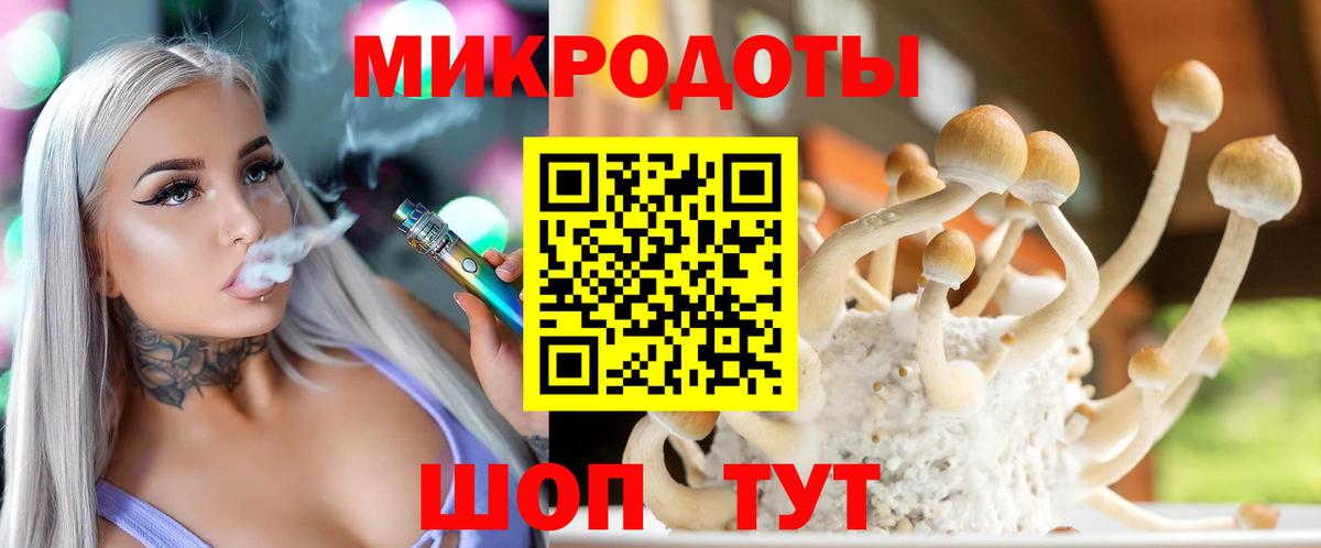 Псилоцибиновые грибы Cubensis  Вход с VPN  Галлюциногенные грибы прущие грибы  Соль-Илецк 